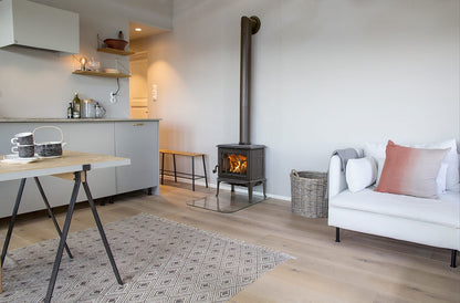 JØTUL Kaminofen 4,9 kW freistehend im Wohnraum